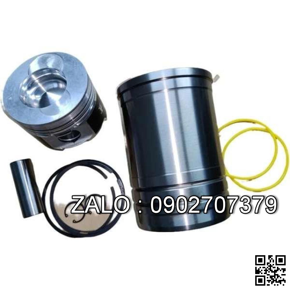 Bộ hơi động cơ DAF WS280 , 6 CYL , CM3