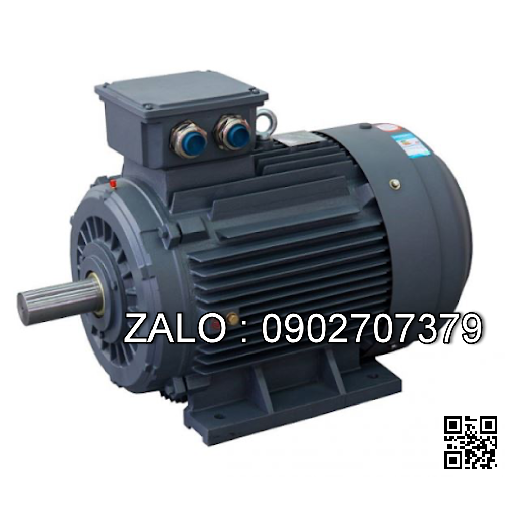 Motor 3 pha 380V 2HP 1.5KW (bao gồm bơm VP-20 áp chỉnh ) (cốt âm - 12mm )