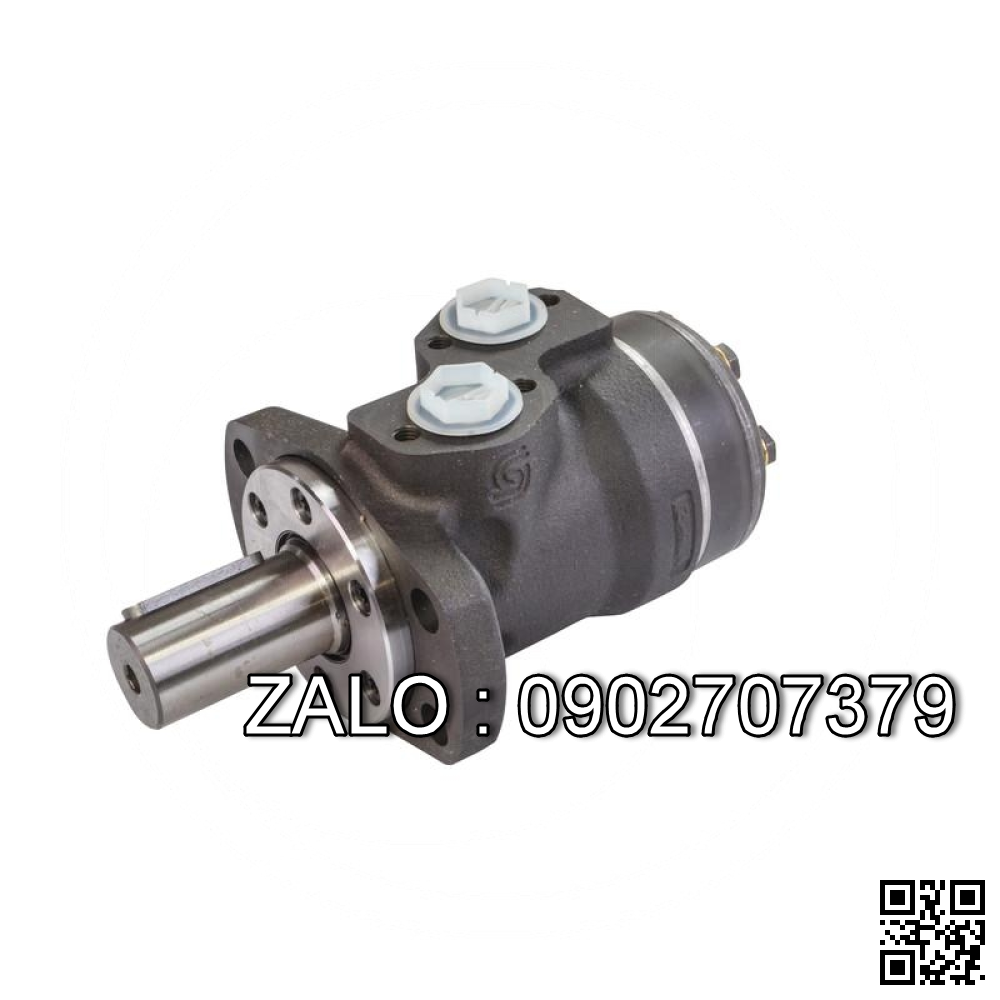 Motor thủy lực piston JMDG3-300 ( 8 răng, trục 38, MĐV 190mm )