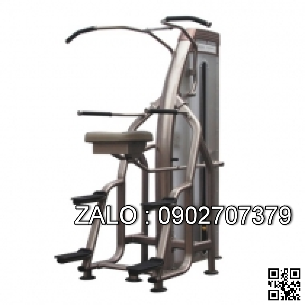 Xà đơn, xà kép có tạ 9019