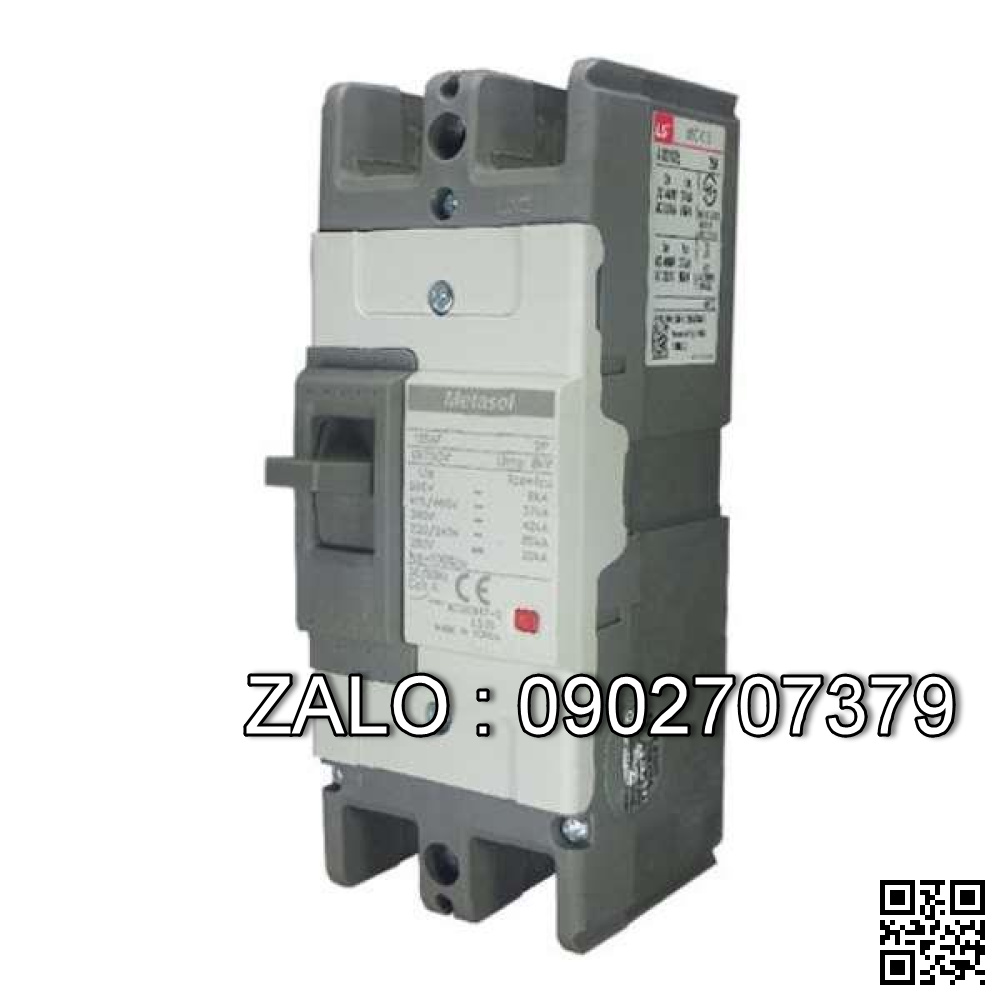 MCCB LS Metasol 2 Cực 30 KA 100 A ABN102c100