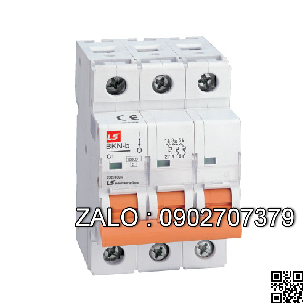 MCB LS 2 Cực 10 KA 16 A BKN-B-2P616