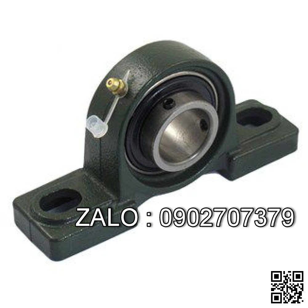 Gối đỡ ASAHI UCP 316