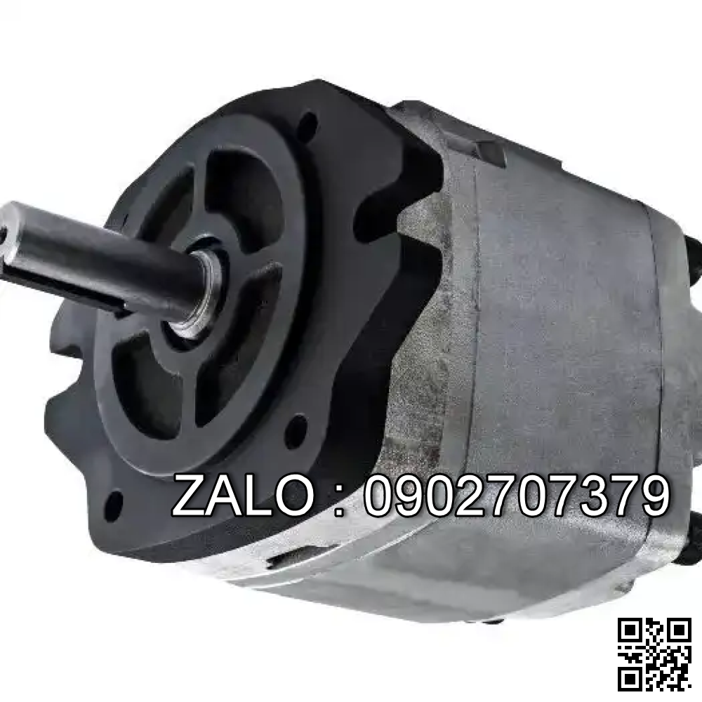 Bơm bánh răng CML IGM-6F-80-R-20
