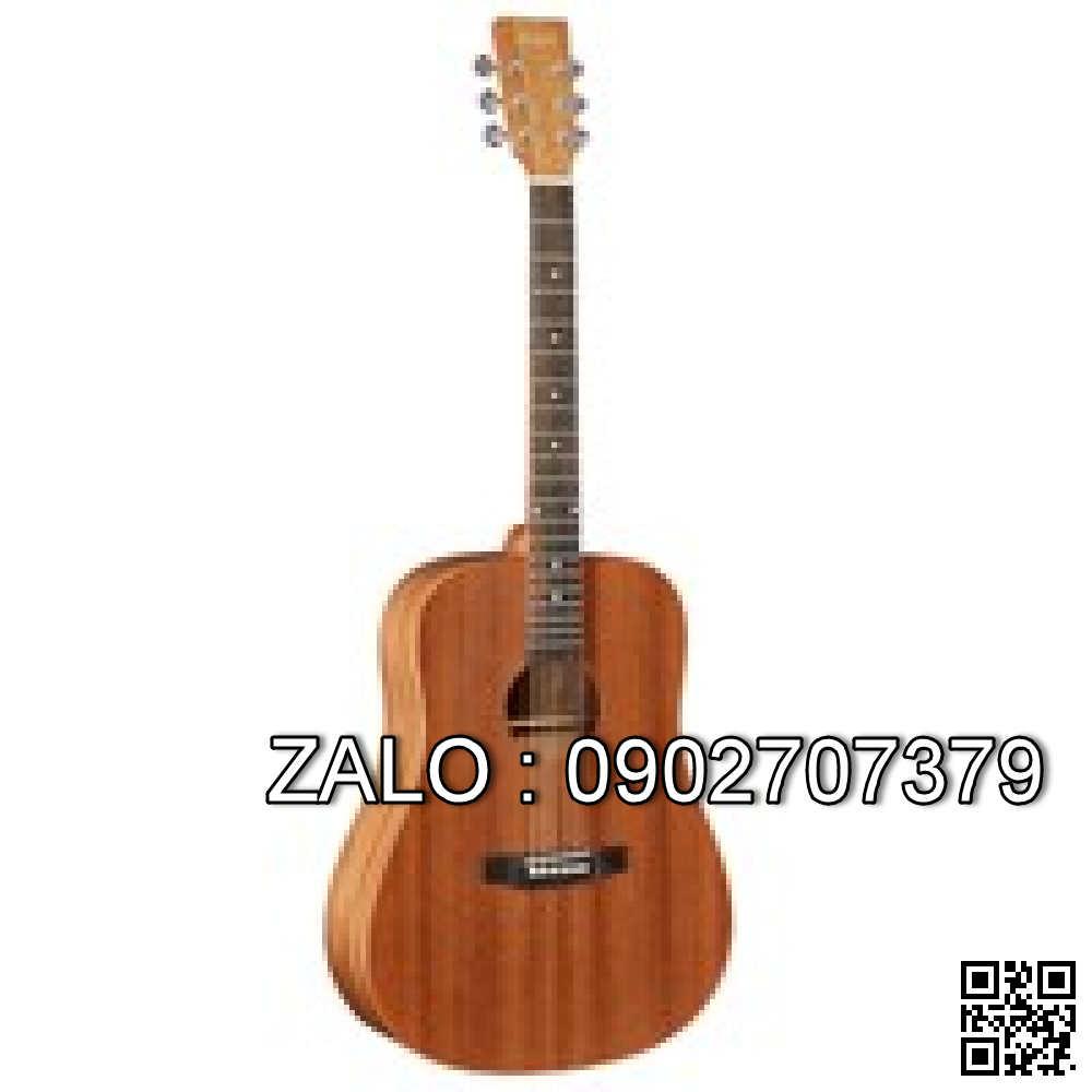 Acoustic Guitar Việt Nam G100