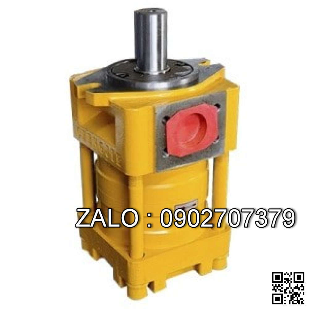 Bơm bánh răng BM1-125 Lưu lượng: 55 l/phút Áp suất 12.5 Mpa