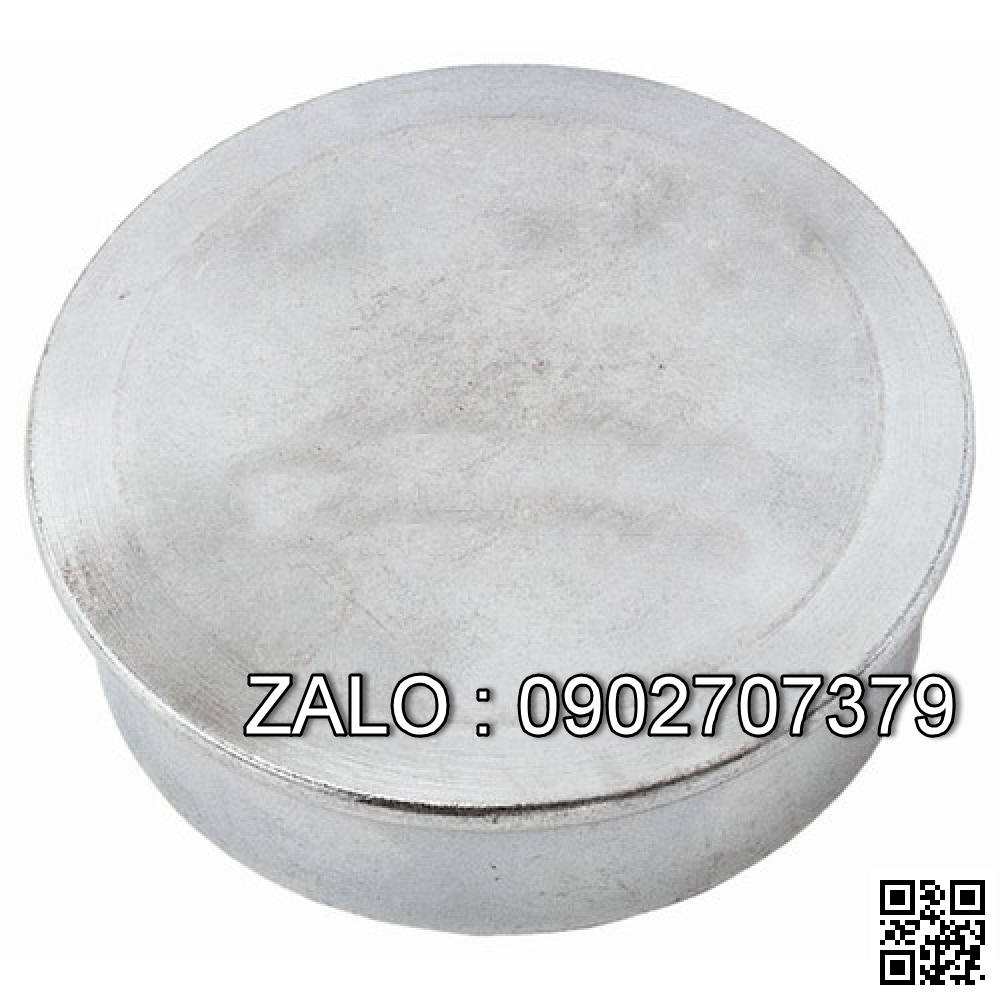 HUB CAP 43815-20540-71