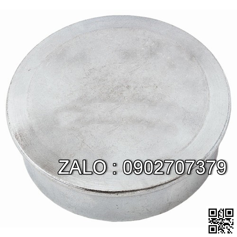 HUB CAP 91243-10900