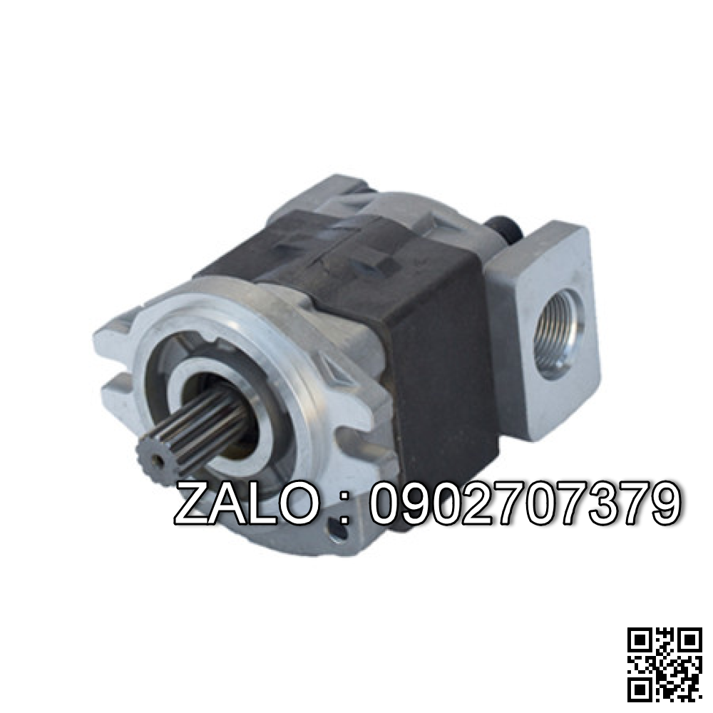 Bơm thủy lực DRE10-A0/200YMG24NZ49900