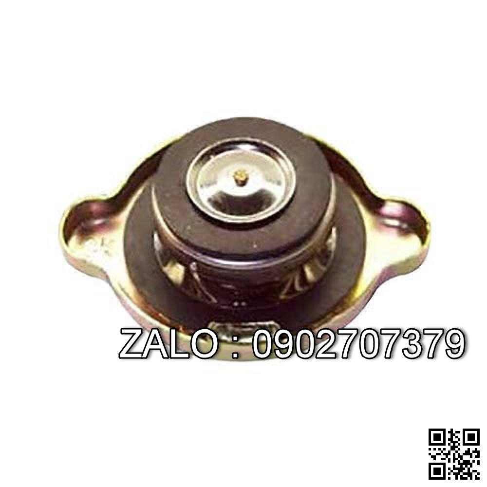 Radiator Plate 22192-12101/H24C2-10301