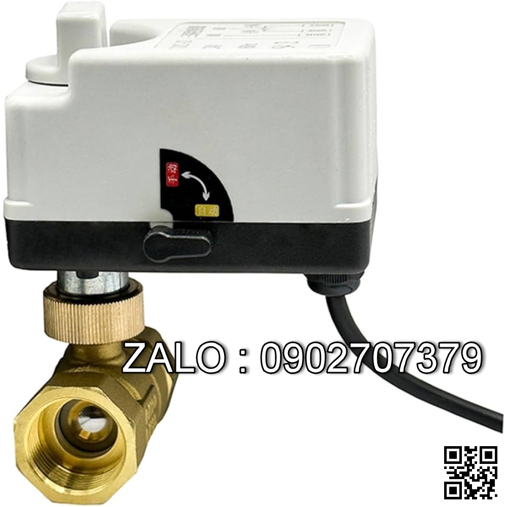 Van bi thau điều khiển điện mặt bích 2 ngã DN30