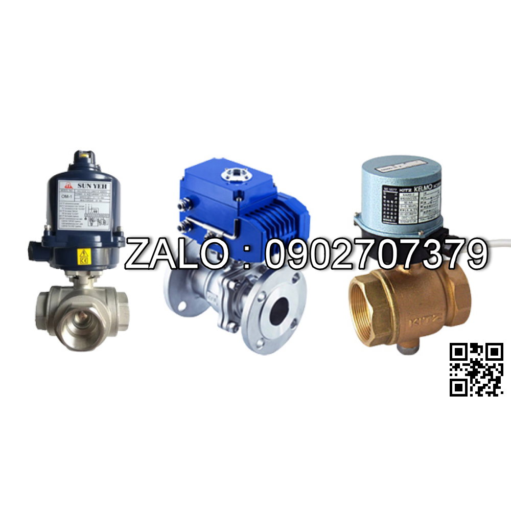 Van bi gang lắp ren 2 ngã DN250
