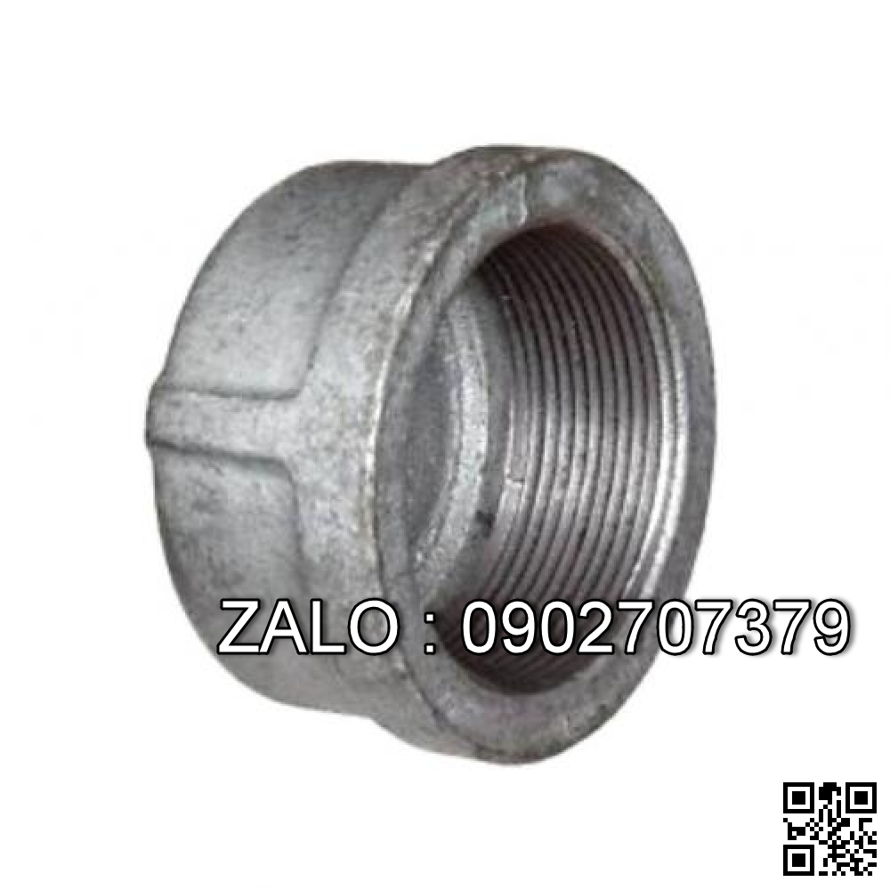 Nút bịt ren trong Inox 304 DN80