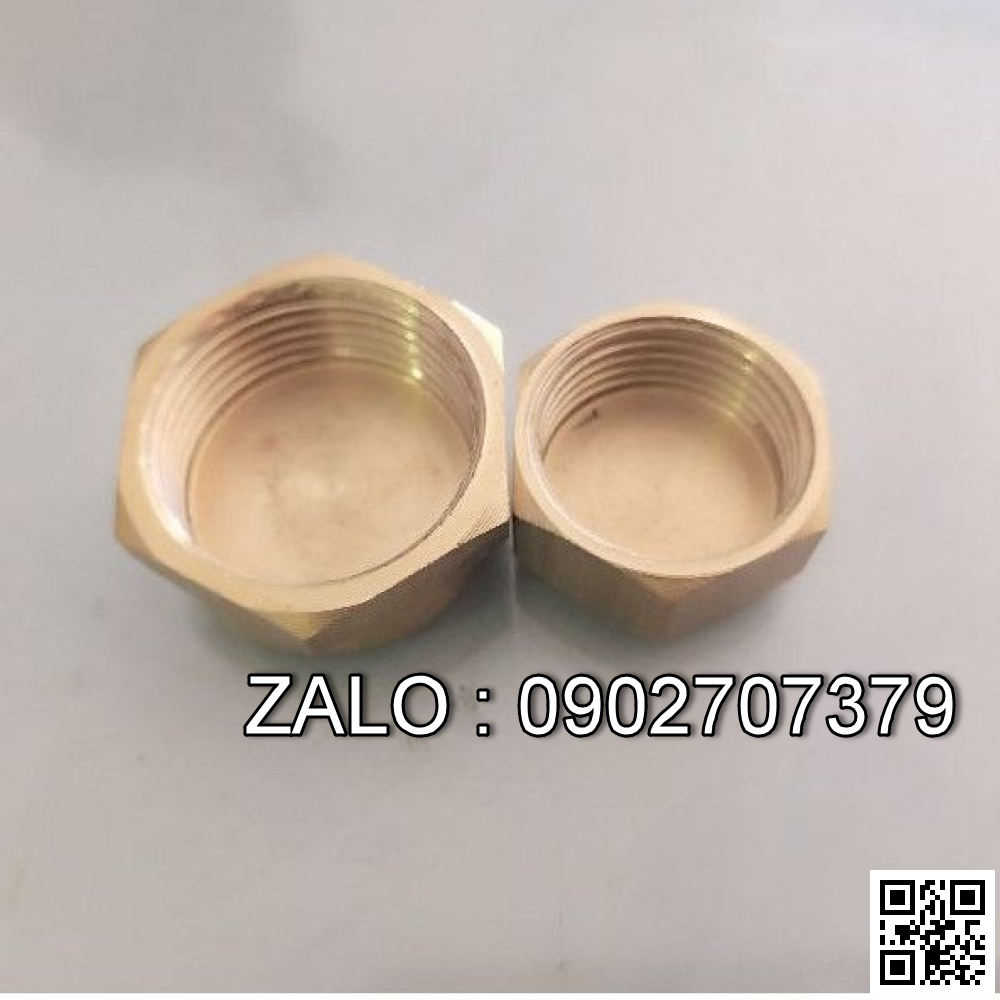 Nút bịt ren trong thau DN32