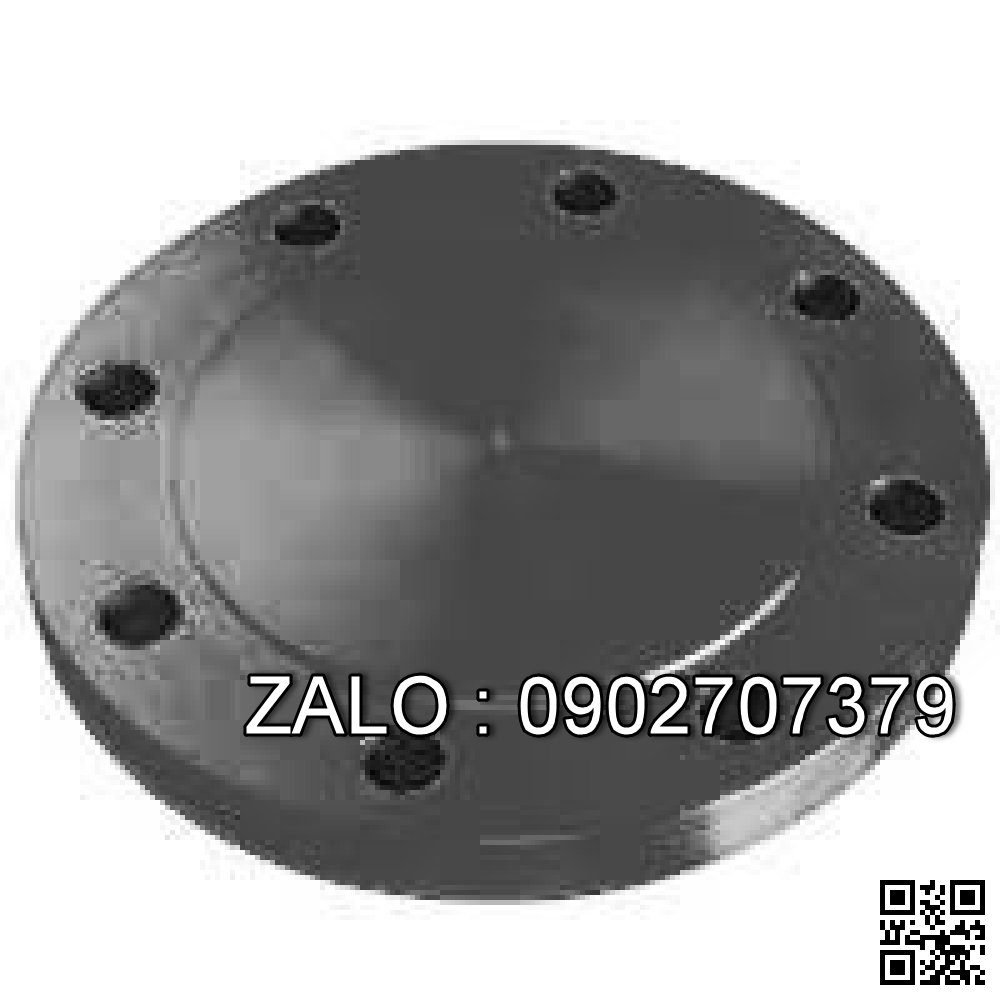 Mặt bích mù ( flange blind ) JIS 16K DN25mm