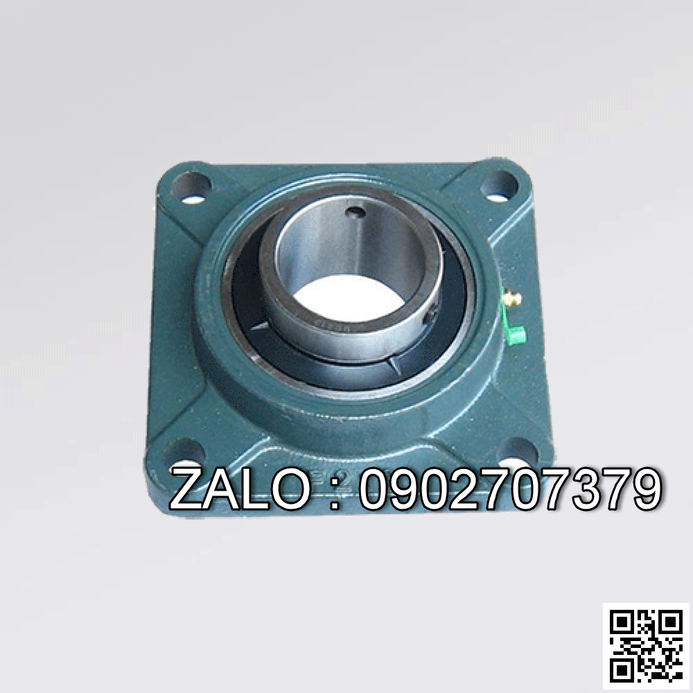 Gối đỡ ASAHI UCFL 205