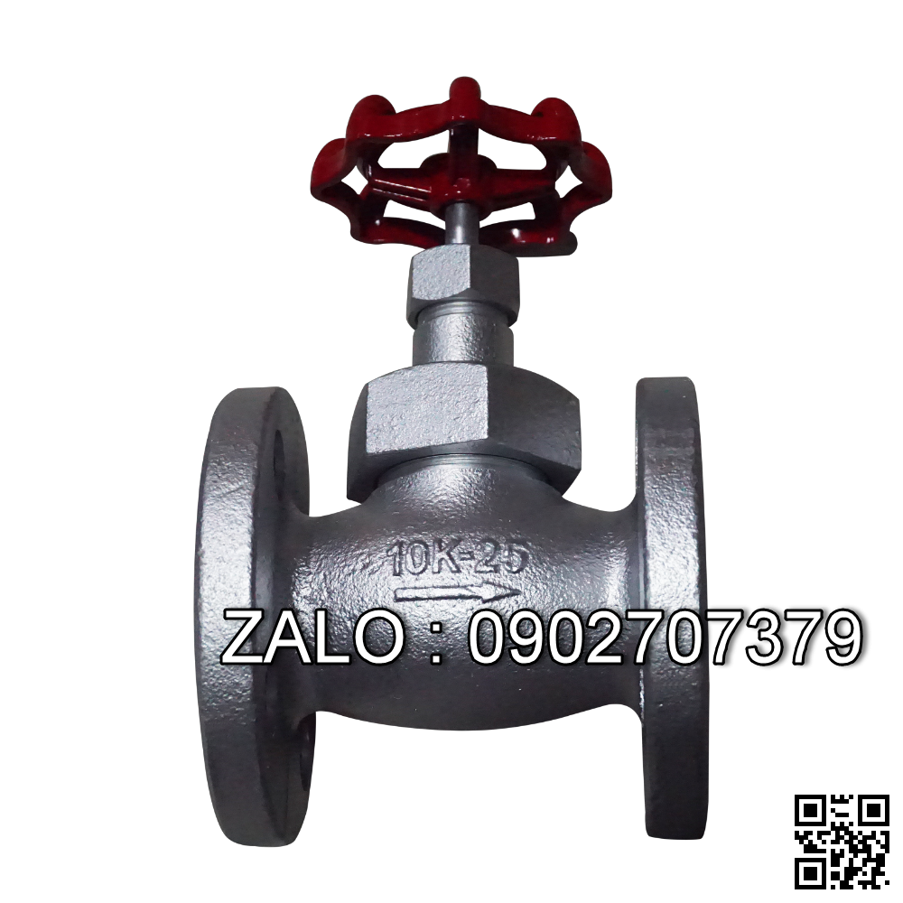 Van cầu gang JIS10K DN300