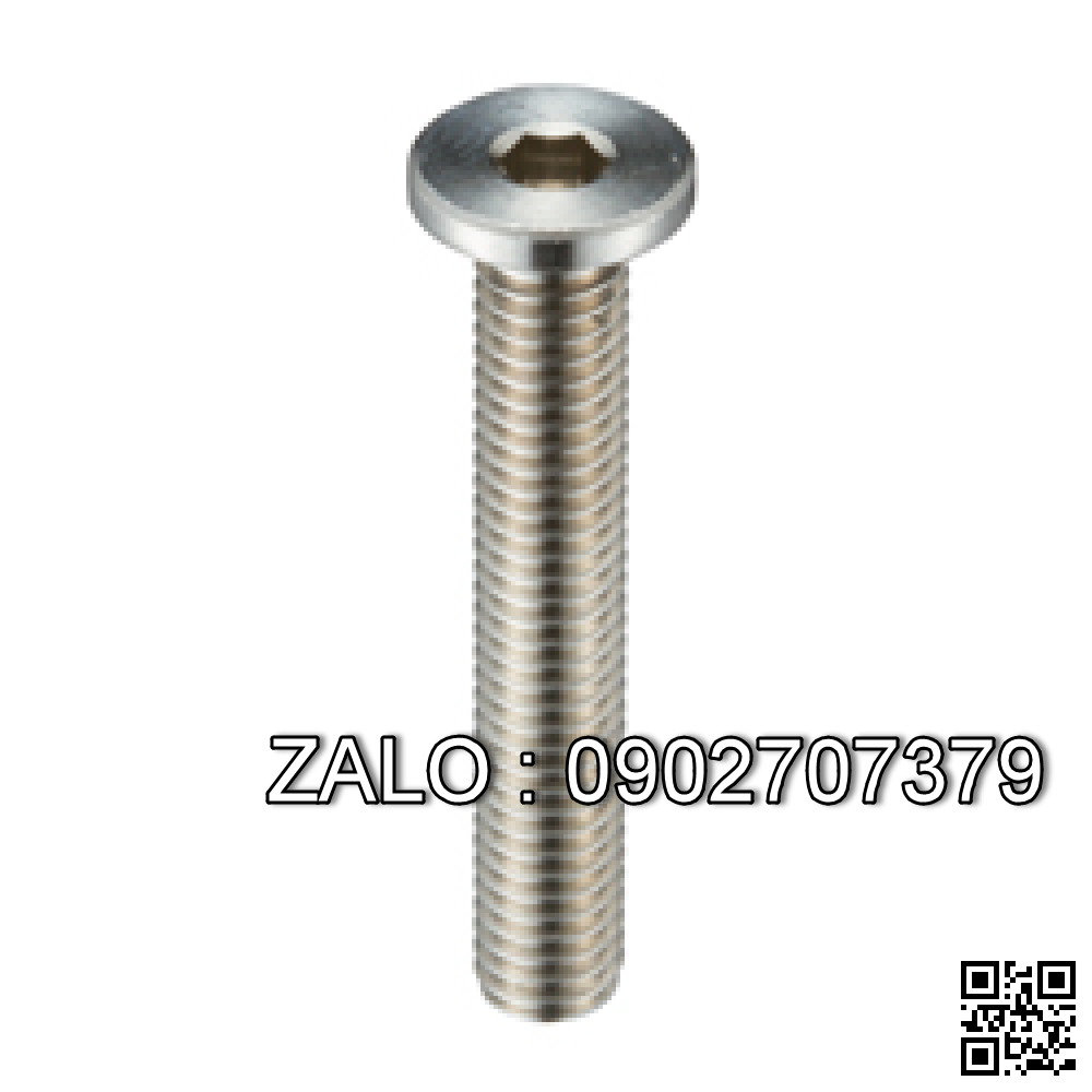 Bolt, Socket head, steel M5x70