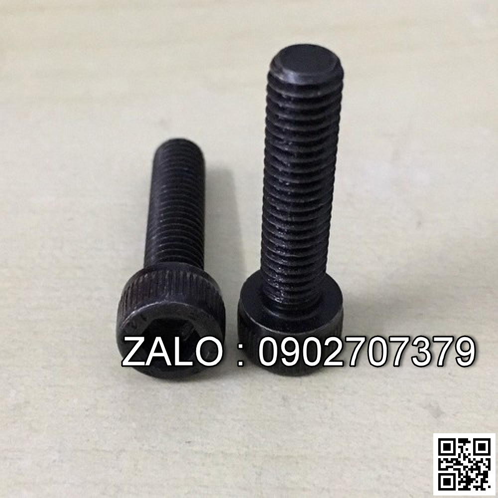 Vớt lại bulong M20*109