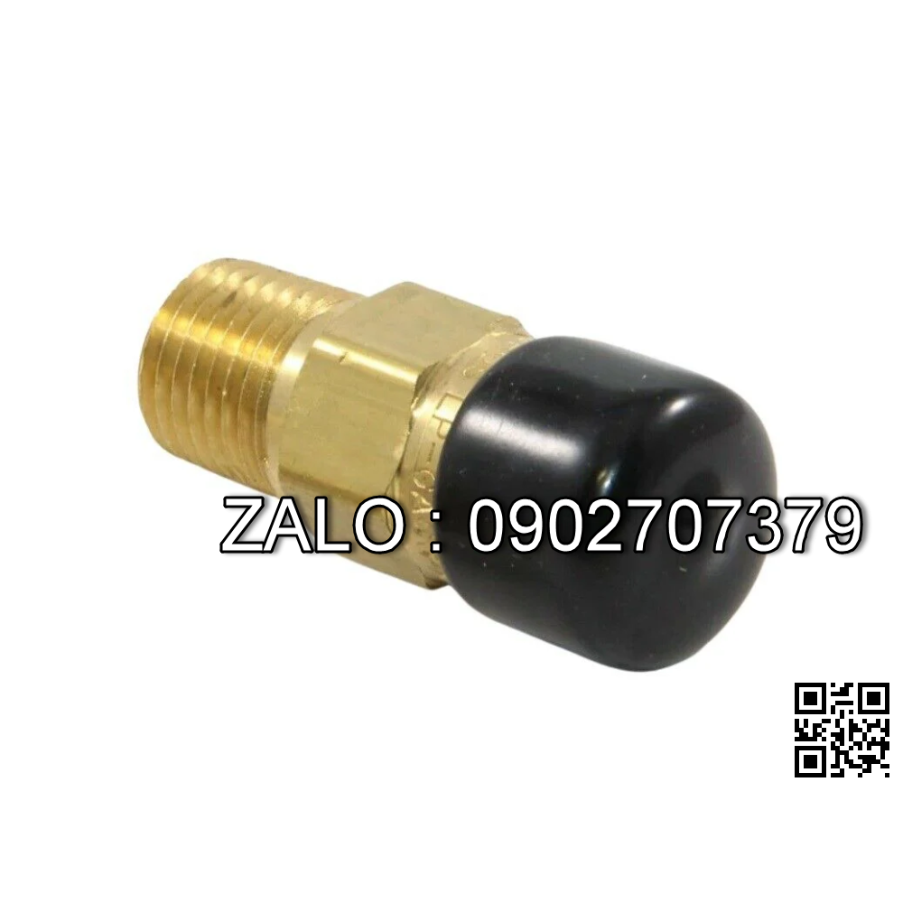 VALVE-RELIEF 866181 CL