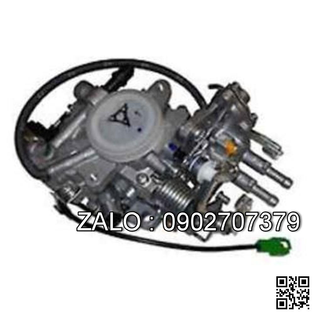 CARBURETOR 3004904