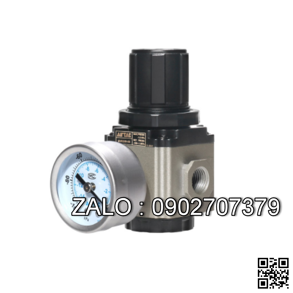 Bộ Lọc Khí Nén GRV300