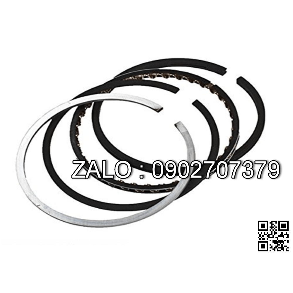 Bạc xéc măng động cơ SCANIA DS14 06 L01 , V8 CYL , CM3