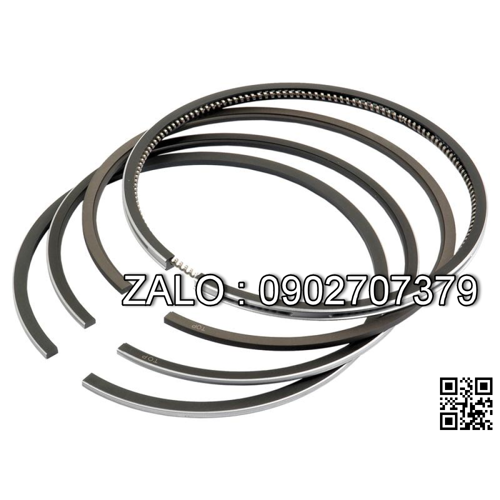 Bạc xéc măng động cơ VOLVO D 25A -MS , CYL , CM3