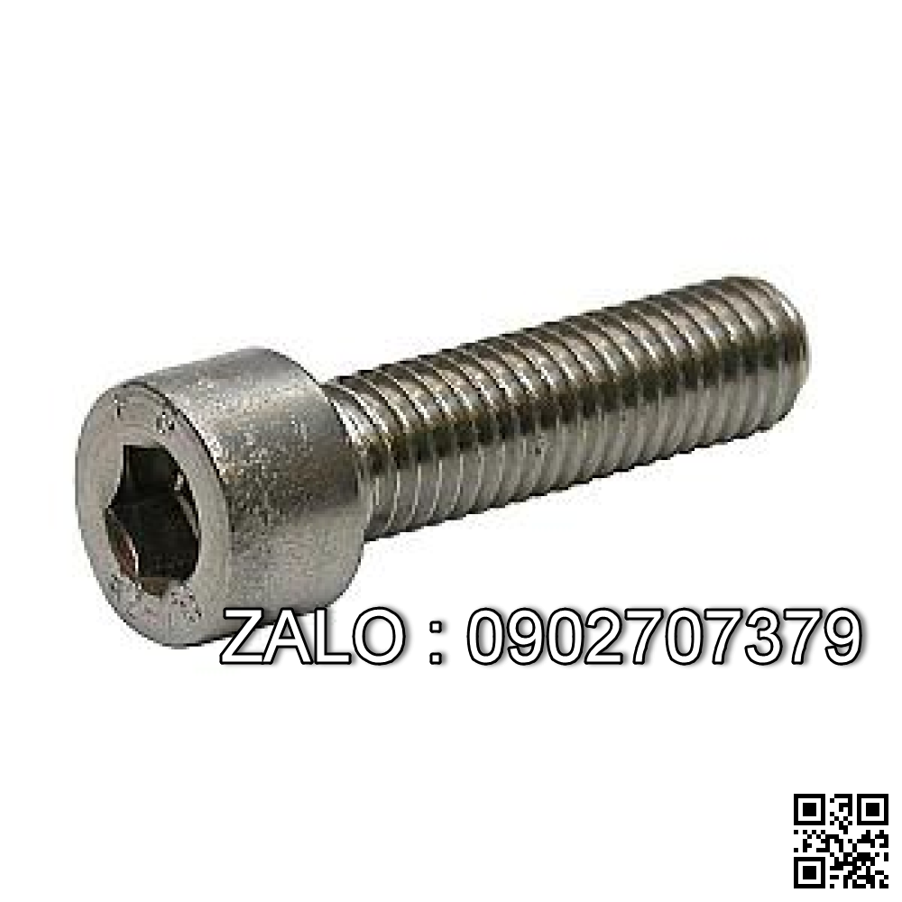 Bolt, Socket head, SS M10x30