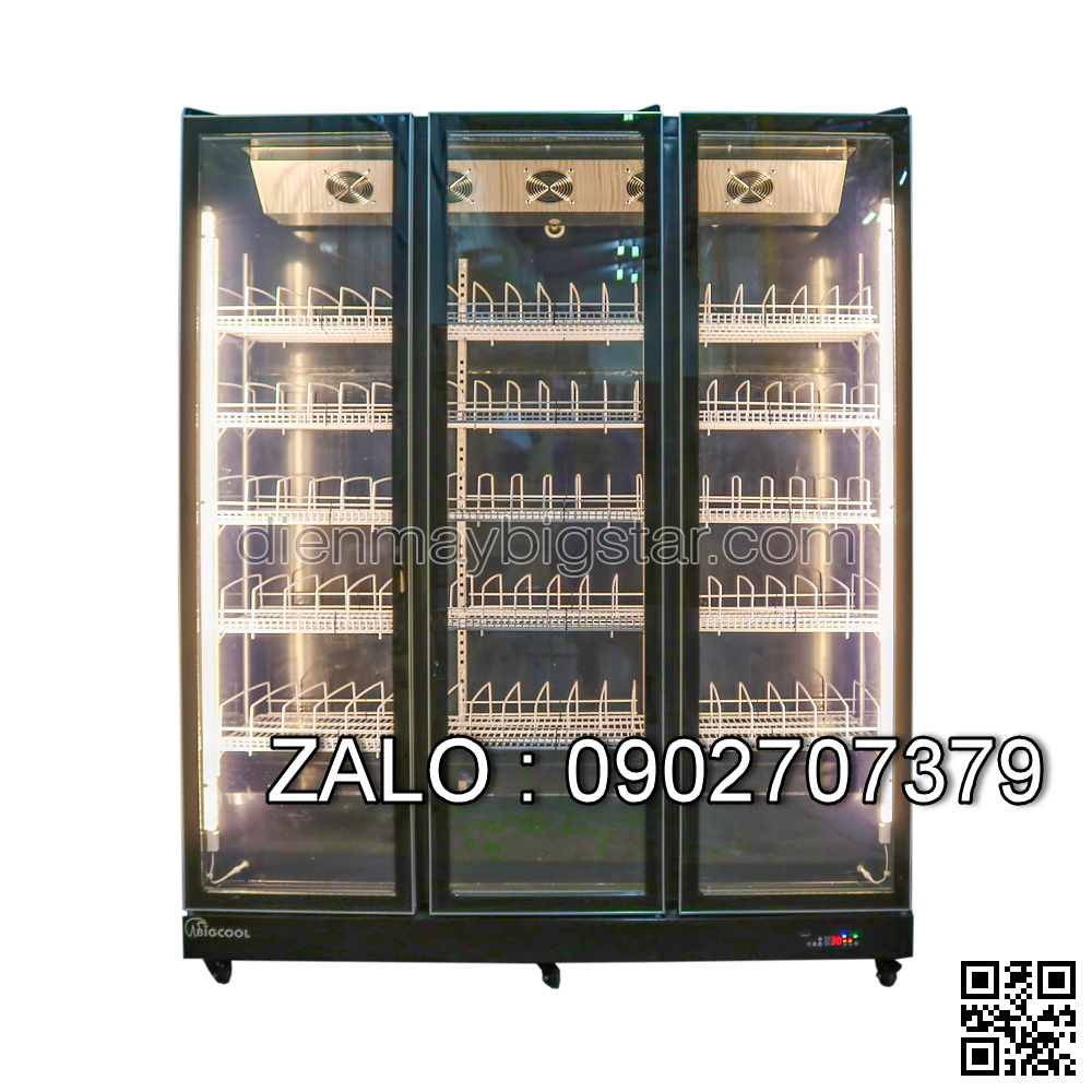 Tủ lạnh 1 cửa kính có quạt mát luxury R299-3