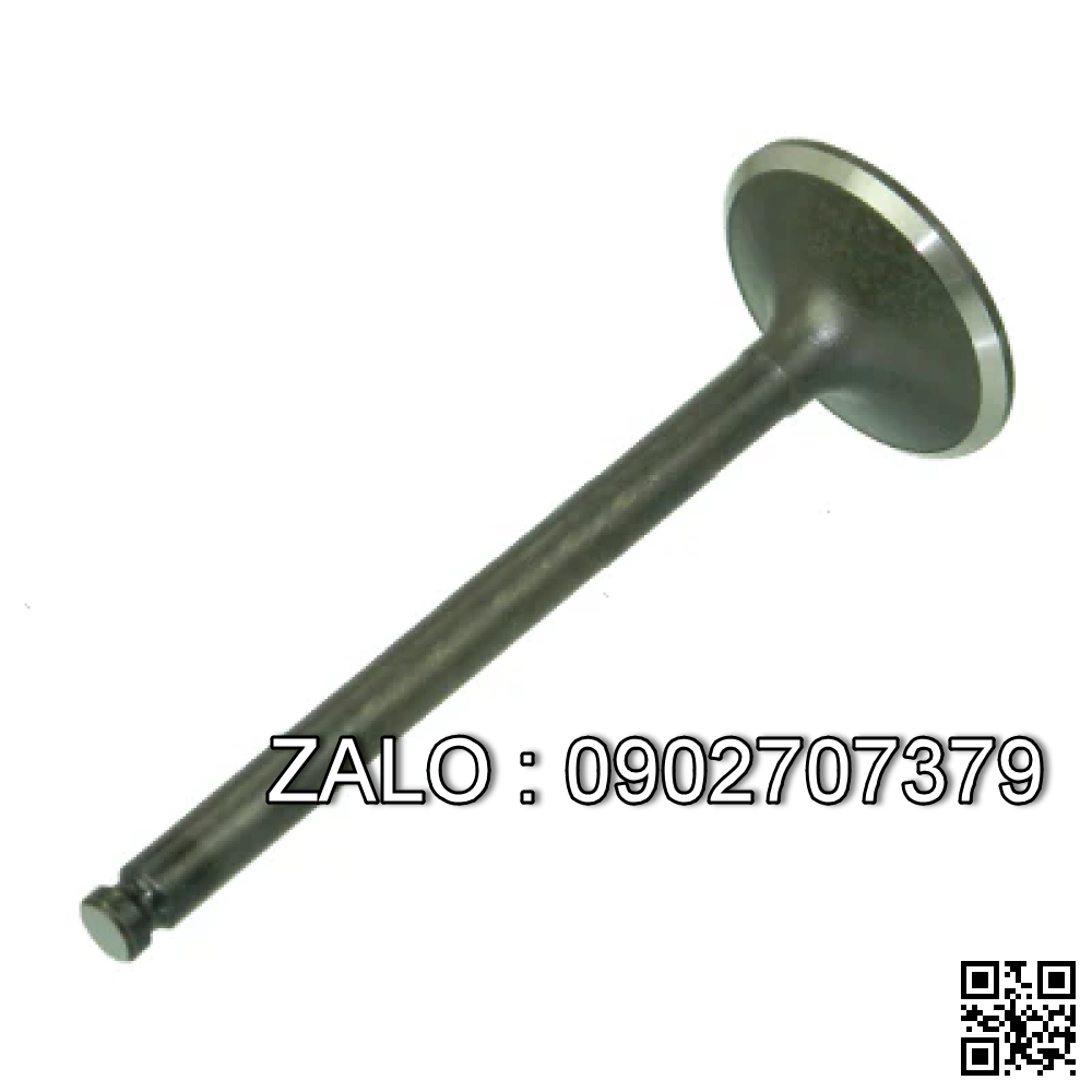 VALVE, INLET/EXHAUST TCM 4FE1
