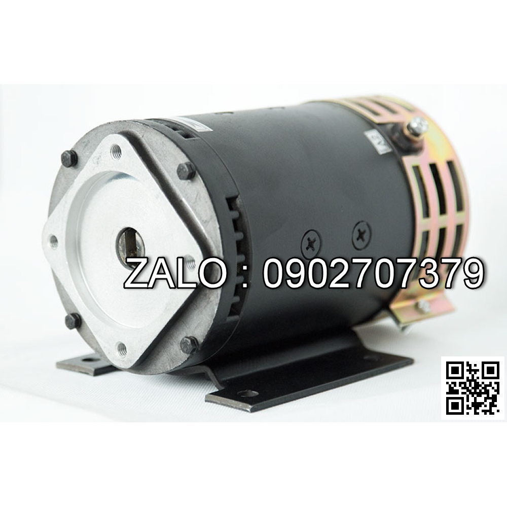 Steering Motor XQD-0.75-3