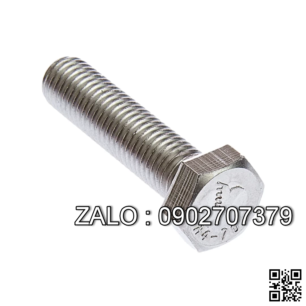 Bolt, SS M6x30