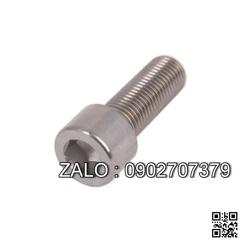 Bolt, Socket head, SS 304 M5x10