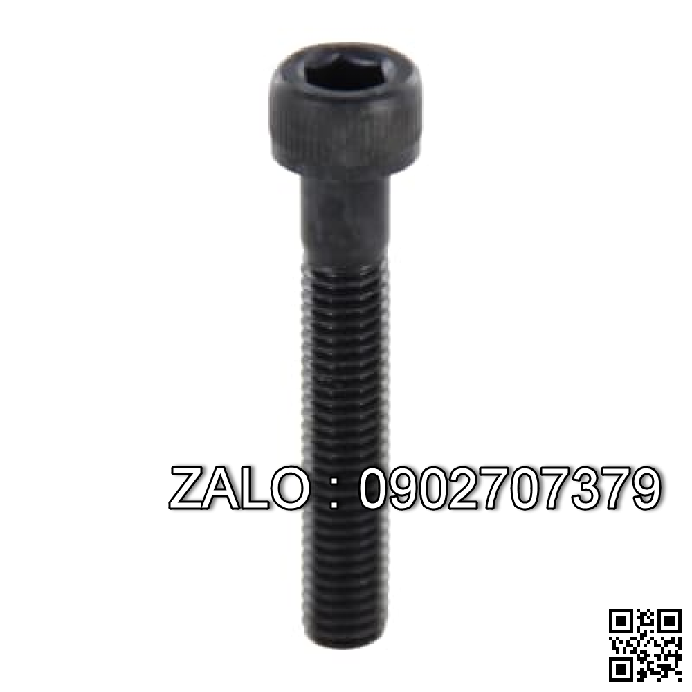 Bolt, Socket head, steel M16*100-55