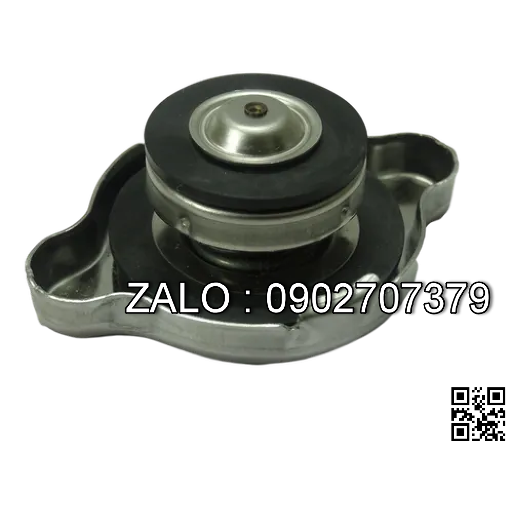 CAP-RADIATOR 13 PSI 2022397 HY