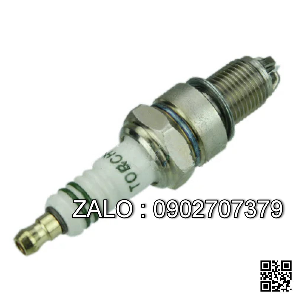 bugi xe nâng WanFeng WF491GP