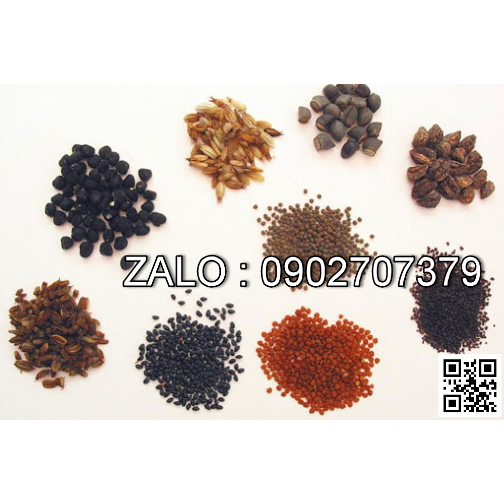 Hạt giống cây trồng
