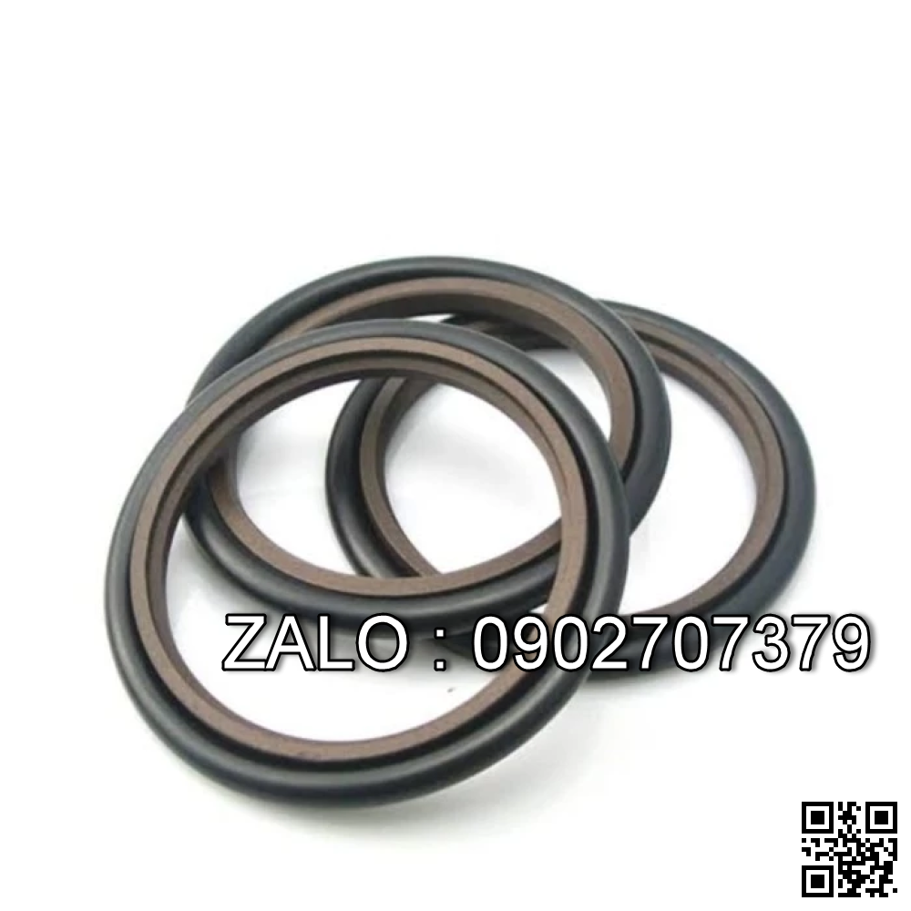 Oil seal GSJ- 48X65X9 48*65*9