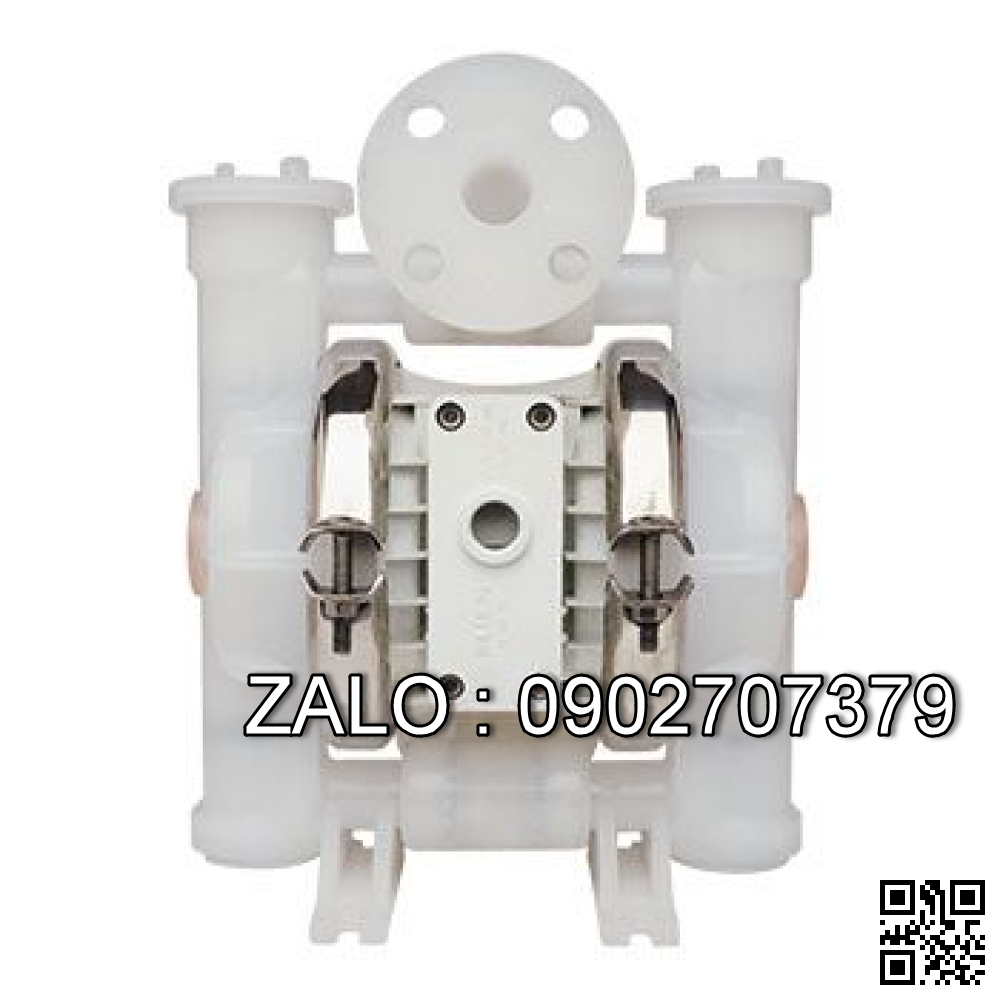Pump: P2/PKPPP/TWS/TF/PTV/0400, WILDEN
