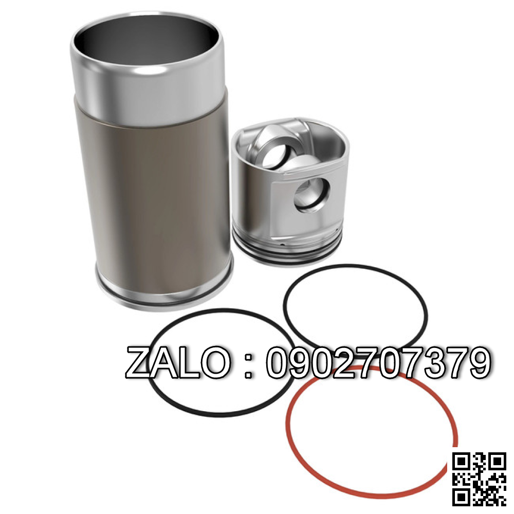 Bộ hơi động cơ DEUTZ BF6L513RC , 6 CYL , CM3