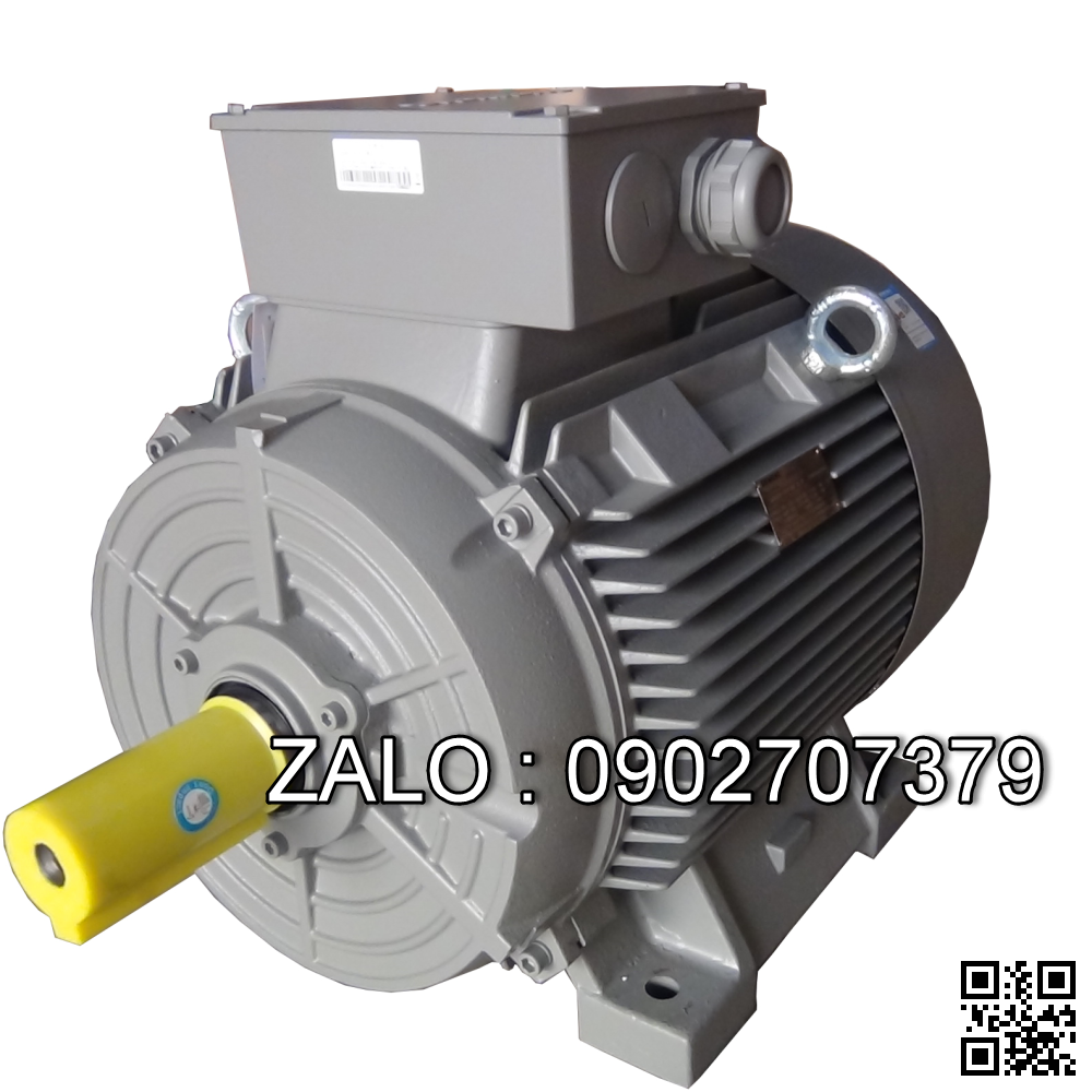 Động cơ điện Siemens 1LE1002-1BB22-2AA4 4 kW, 4 cực, chân đế
