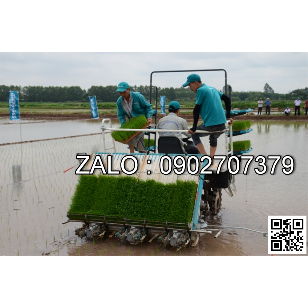 Máy cấy mạ khay