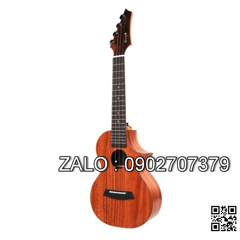 Guitar Classic Stagg C548