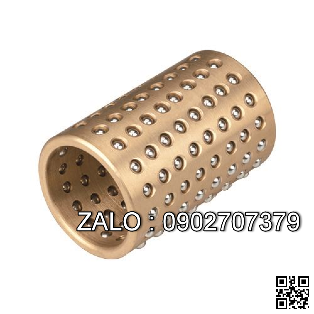 Bạc lót bi trượt BYS2 10