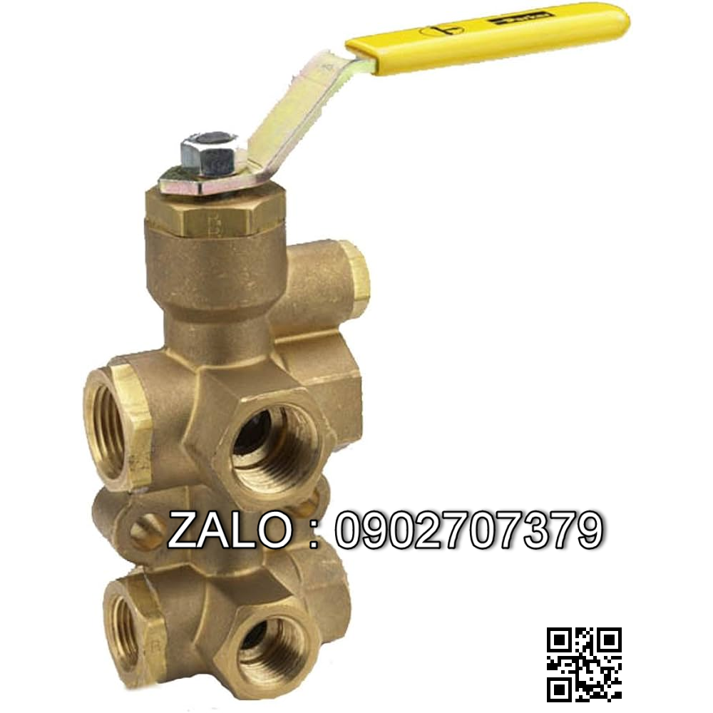 Van bi thau ren trong 6 ngã DN35