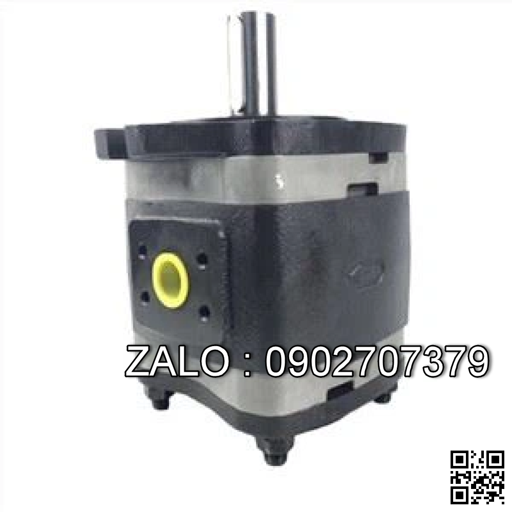 Bơm thủy lực IPVP 7-125