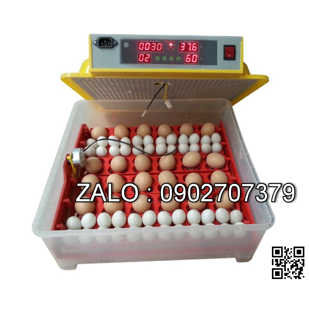 MÁY ẤP TRỨNG NHẬP KHẨU KN-16896