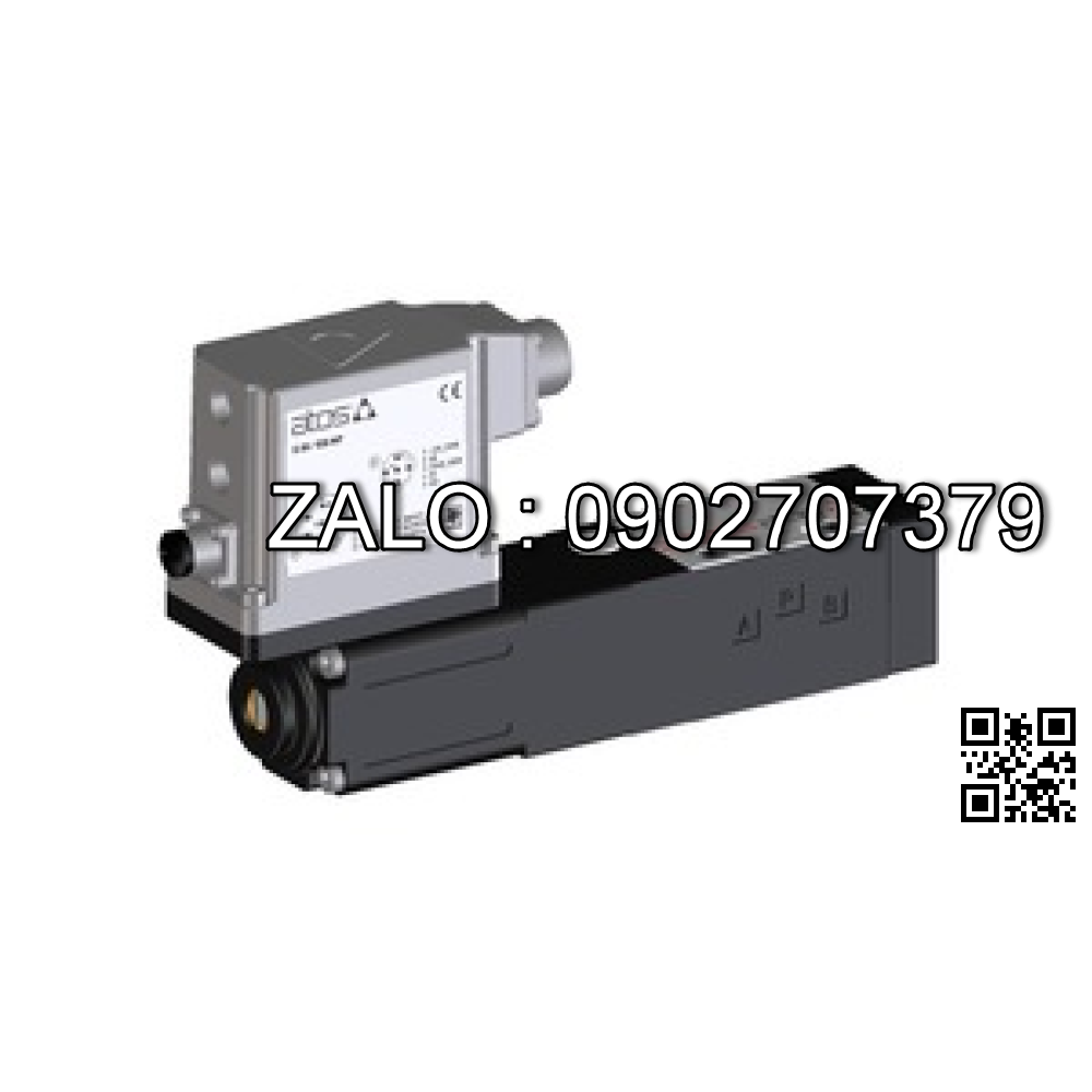 Van thủy lực RZGO-AEB-NP-033/210/I