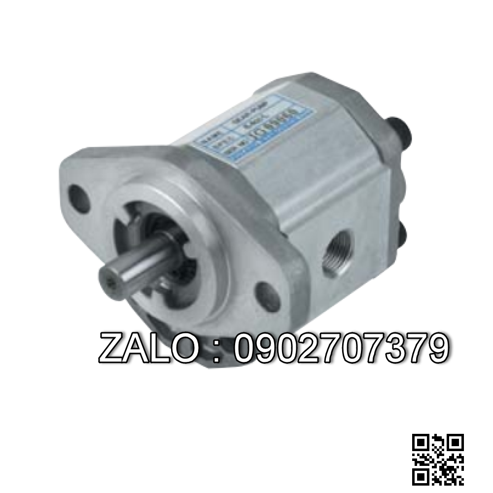 Bơm dầu thủy lực Internal Gear Pump, 10cc - 21MPa